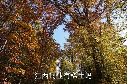 江銅集團四川省冕寧縣招聘網