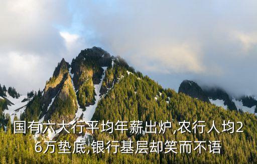國有六大行平均年薪出爐,農行人均26萬墊底,銀行基層卻笑而不語