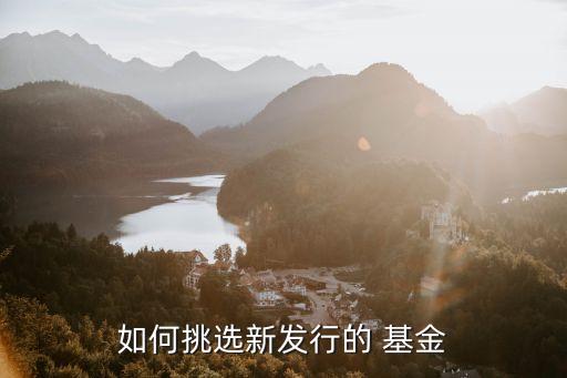 如何挑選新發行的 基金