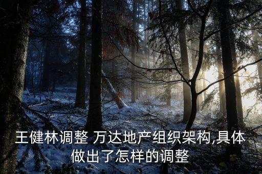王健林調整 萬達地產組織架構,具體做出了怎樣的調整