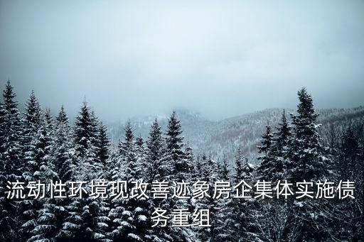 流動性環境現改善跡象房企集體實施債務重組