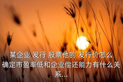 某企業 發行 股票他的 發行價怎么確定市盈率低和企業償還能力有什么關系...