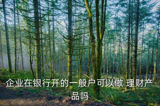 企業在銀行開的一般戶可以做 理財產品嗎