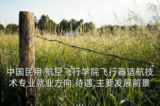 中國民用 航空飛行學院飛行器適航技術(shù)專業(yè)就業(yè)方向,待遇,主要發(fā)展前景...