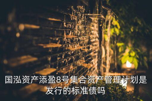 國泓資產添盈8號集合資產管理計劃是發行的標準債嗎
