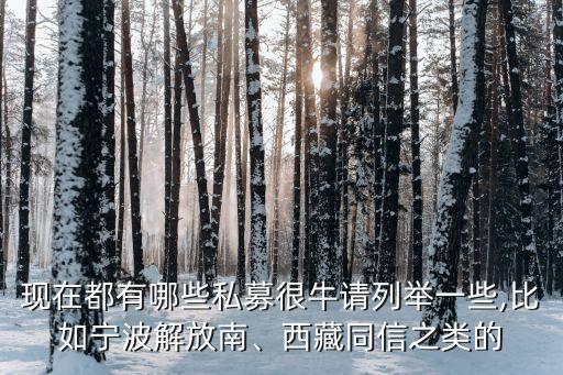 現在都有哪些私募很牛請列舉一些,比如寧波解放南、西藏同信之類的