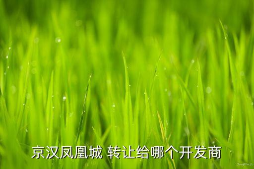 京漢鳳凰城 轉讓給哪個開發商