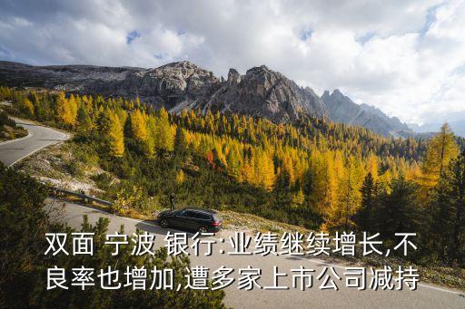 雙面 寧波 銀行:業績繼續增長,不良率也增加,遭多家上市公司減持