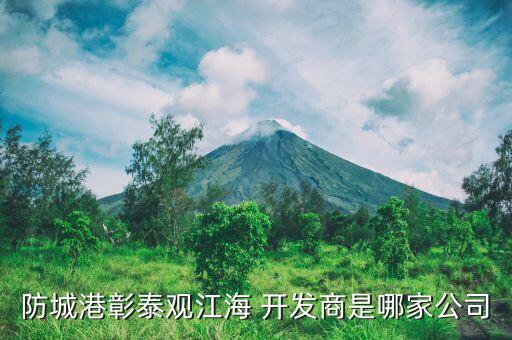 成都金牛正惠房地產開發有限公司