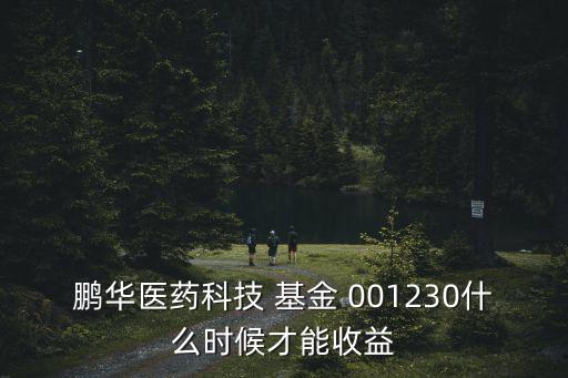 001230基金,鵬華醫藥科技001230基金