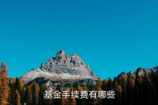  基金手續費有哪些