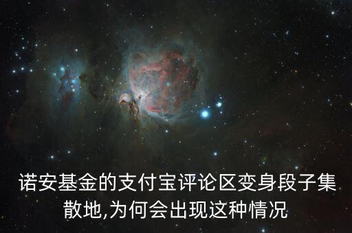  諾安基金的支付寶評論區變身段子集散地,為何會出現這種情況