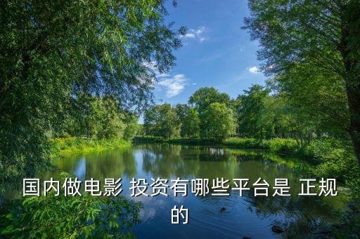 國內做電影 投資有哪些平臺是 正規的