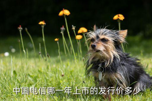 中國電信哪一年上市的發行價多少