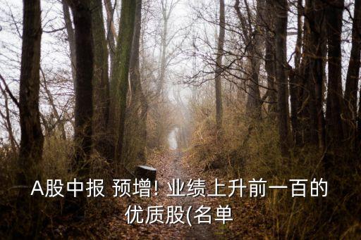 A股中報 預增! 業績上升前一百的優質股(名單