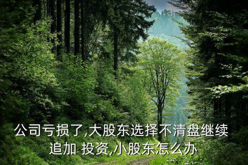 公司虧損了,大股東選擇不清盤繼續 追加 投資,小股東怎么辦