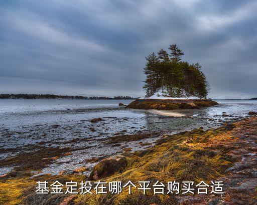 哪個網站可以通過支付寶基金定投