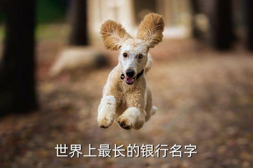 烏蘭察布中國銀行行長,中國銀行烏蘭察布市分行營業部
