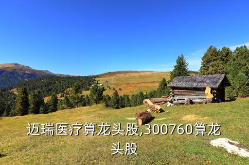 邁瑞醫療算龍頭股,300760算龍頭股
