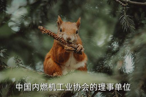 中國內燃機工業協會的理事單位