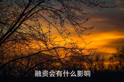 你認為中石化發行股票融資的教訓是什么