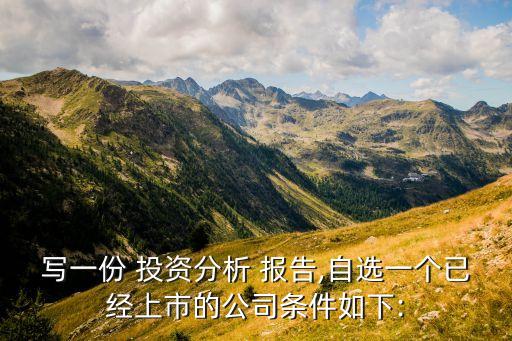寫一份 投資分析 報告,自選一個已經上市的公司條件如下: