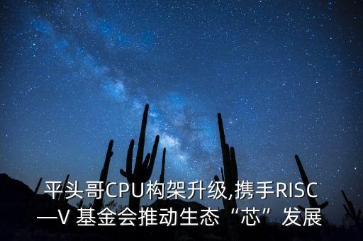 平頭哥CPU構架升級,攜手RISC—V 基金會推動生態“芯”發展