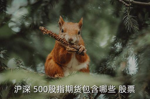 中證500股票名單,深成500指數股票名單