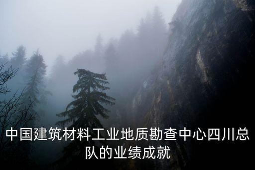 中國建筑材料工業地質勘查中心四川總隊的業績成就
