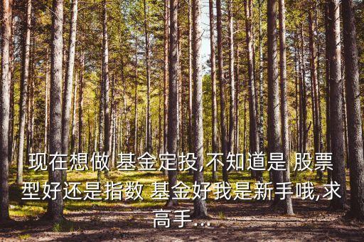 現在想做 基金定投,不知道是 股票型好還是指數 基金好我是新手哦,求高手...
