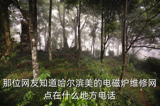 七臺河緯地水泥有限責任公司,大唐七臺河發電有限責任公司