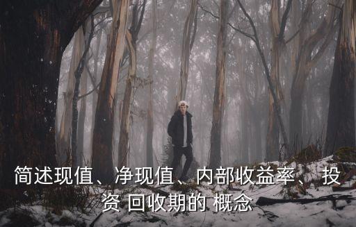 簡述現值、凈現值、內部收益率、 投資 回收期的 概念