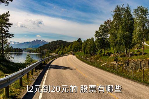 龍津藥業股票發行價,002750龍津藥業股票