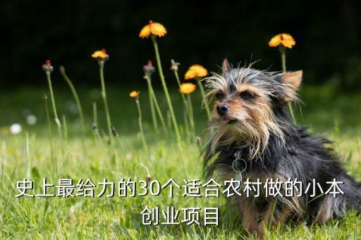北京佳創生意