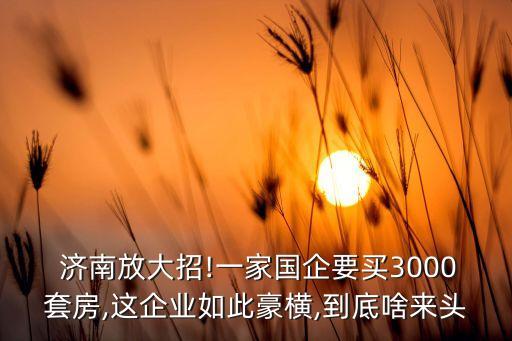  濟南放大招!一家國企要買3000套房,這企業如此豪橫,到底啥來頭