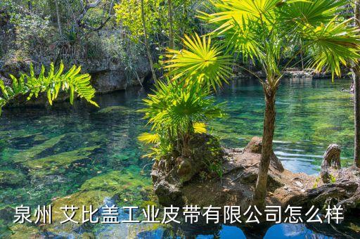 泉州 艾比蓋工業皮帶有限公司怎么樣