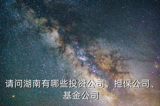 請問湖南有哪些投資公司、擔保公司、 基金公司