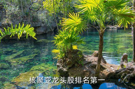 核能概念股票,核能核過程的概念系統及應用