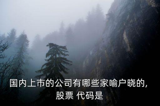 國內上市的公司有哪些家喻戶曉的, 股票 代碼是