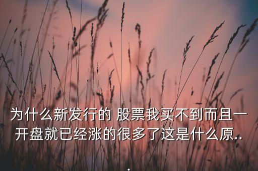 為什么新發行的 股票我買不到而且一開盤就已經漲的很多了這是什么原...