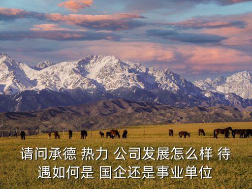 請問承德 熱力 公司發展怎么樣 待遇如何是 國企還是事業單位