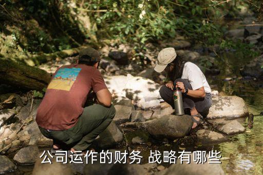 擴張型投資戰略,公司投資擴張戰略執行情況評價