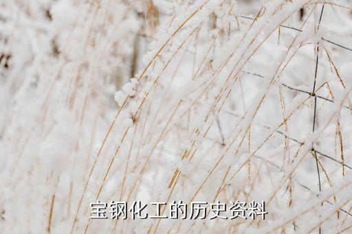 寶鋼集團2013年產量,上海寶鋼集團年產量