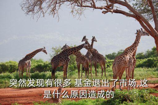 突然發現有很多 基金退出了市場,這是什么原因造成的
