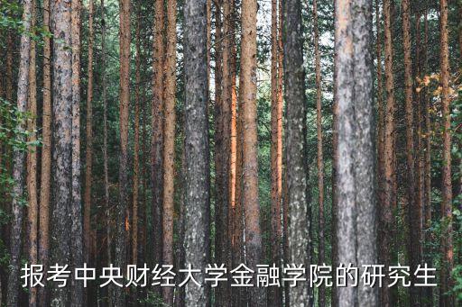 報考中央財經大學金融學院的研究生