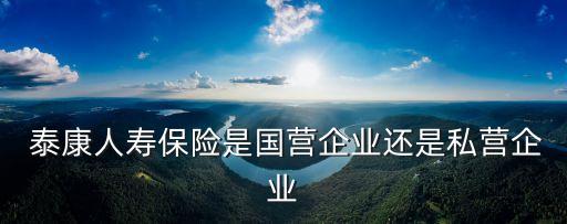  泰康人壽保險是國營企業還是私營企業