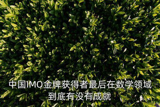 中國IMO金牌獲得者最后在數學領域到底有沒有成就