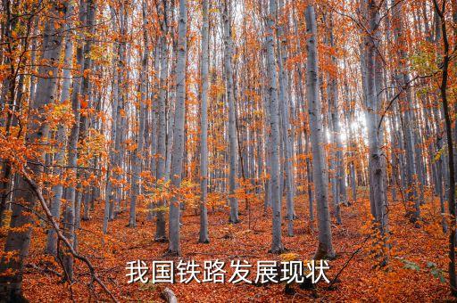 我國鐵路發展現狀