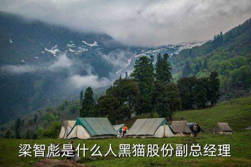 梁智彪是什么人黑貓股份副總經理