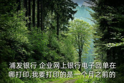  浦發銀行 企業網上銀行電子回單在哪打印,我要打印的是一個月之前的